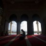 Profilbild von عاصم المحرمي