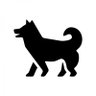 犬塚's profile picture