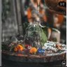 ankush goyal profil fotoฤrafฤฑ