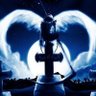 shi wang's profile picture