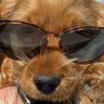 Maney's profile picture
