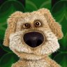 Profilbild von San_Bol