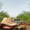 אורן, חקלאי צנרת's profile picture
