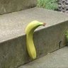 Profilbild von Bunana Step
