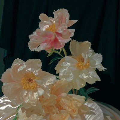 서파's profile picture