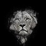 Pengusa Rimba's profile picture