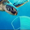 Фото профиля Unacceptable Sea Turtle 🌸