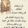 Profilbild von ابو احمد