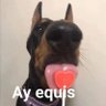 nomehables's profile picture