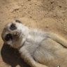 kennanz profil fotoğrafı