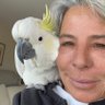 Angela Meck profil fotoğrafı