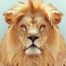 Leonard's profile picture