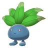 Confussed-Oddish profil fotoğrafı