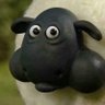 Profilbild von Stray