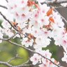 Фото профиля 高畑博