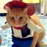 silent walker_070 profil fotoğrafı