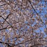 Фото профиля つじもっ
