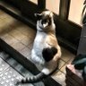 ekuboこと水無月 profil fotoğrafı