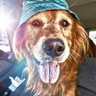 Rex's profile picture