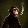 Kongsy profil fotoğrafı