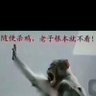 Profilbild von 知了