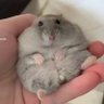 Bed 的头像