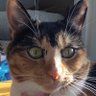 Profilbild von bubbaslondon