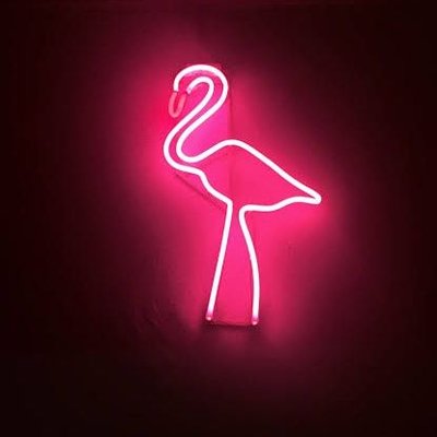 ๐ฆฉ๐ฉท๐๐๐๐๐๐๐ธ๐บ๐ท๐ชท's profile picture