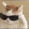 felix the cat's profile picture