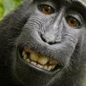 Aly...Ould's profile picture