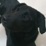 Profilbild von jj