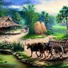 Hidup Sederhana itu indah profil fotoğrafı