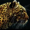 william fleub's profile picture
