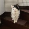 テンテン's profile picture