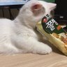 Qiu's profile picture
