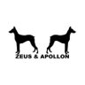 Фото профиля Les Loups sont sur X