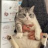 Profilbild von 风铃
