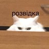 Штабс profil fotoğrafı