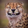 Семён Семёныч's profile picture