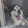 風 的头像