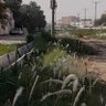 نادر بن احمد's profile picture