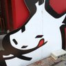 モチモチモンステキュー's profile picture