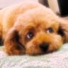 KEN指圧治療院's profile picture