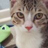 まみぃ profil fotoğrafı