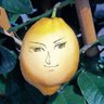 Profilbild von lemoncelot