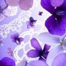 Tiffa profil fotoğrafı