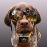 Big Dog Huachano's profile picture