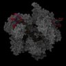Crispr CAS9 的头像