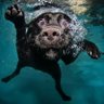 Максим М profil fotoğrafı