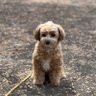 あき太💚(チームグリーン応援中) profil fotoğrafı